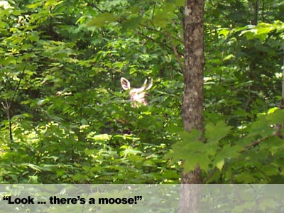 Camp Lorentz | Patten, Maine | Escape From The Everyday | Stay tuned for the adventure!